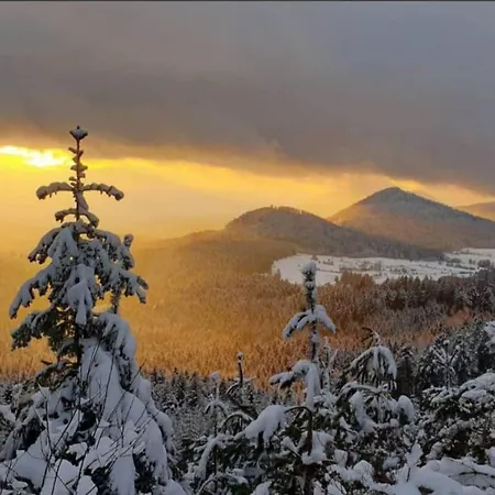 アパート De La Source De La Bruche