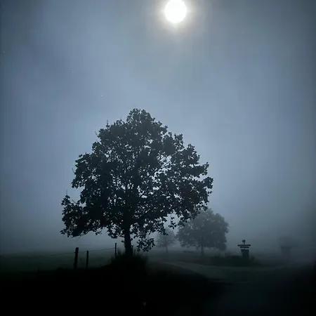 De La Source De La Bruche アパート Bourg-Bruche